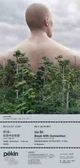 Liu Di  柳迪  -  Break With Convention  脱离传统智慧 - 04.03 29.04 2017  Pekin Fine Arts  Beijing - poster  