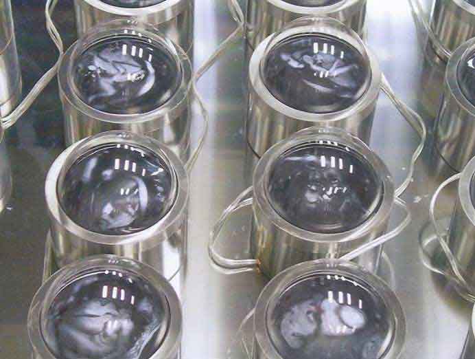  Liu Shih-Fen  劉世芬 -  Deciphering the Genetic Map of Love : Eysballs of a lover  -  2001