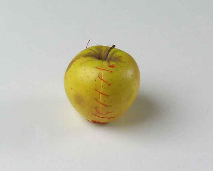 Luo Mingjun  罗明君   -  Apple