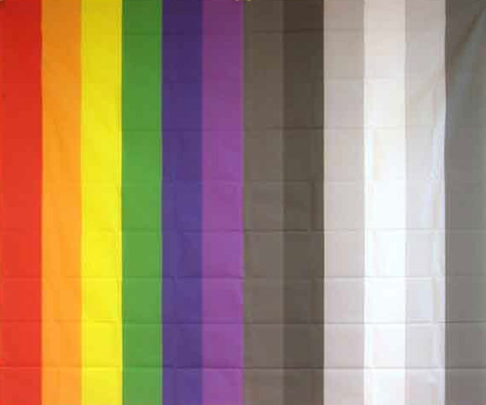  Wang Hung-Chih  王弘志  -  Flag  -  Synthetic materials  -  Daegu Art Factory  -  2017  