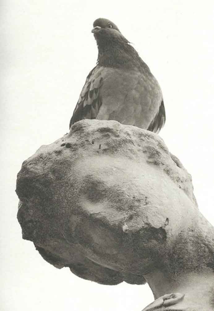 Yaping Zhang 张亚萍 - Pigeon-statue 2 - 鸽子与雕像 2 - 2006 Yaping Zhang 张亚萍 - Pigeon-statue 2 - 鸽子与雕像 2 - 2006