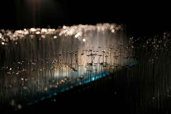 Zheng Wenqing  郑闻卿  Zheng Wenqing  郑闻卿