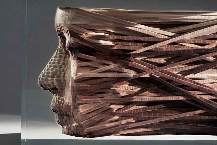 Hsin-Chien Huang  黄心健   -  Bloodlines  -  3D Printed Sculpture embedded in Lucite  W13.7 x H16.7 x L29.7 cm  -  2020