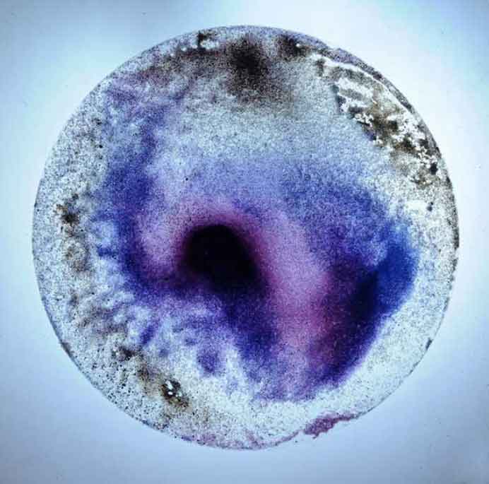 Hu Mingzhe  胡明哲 -  Series of Star N°.3