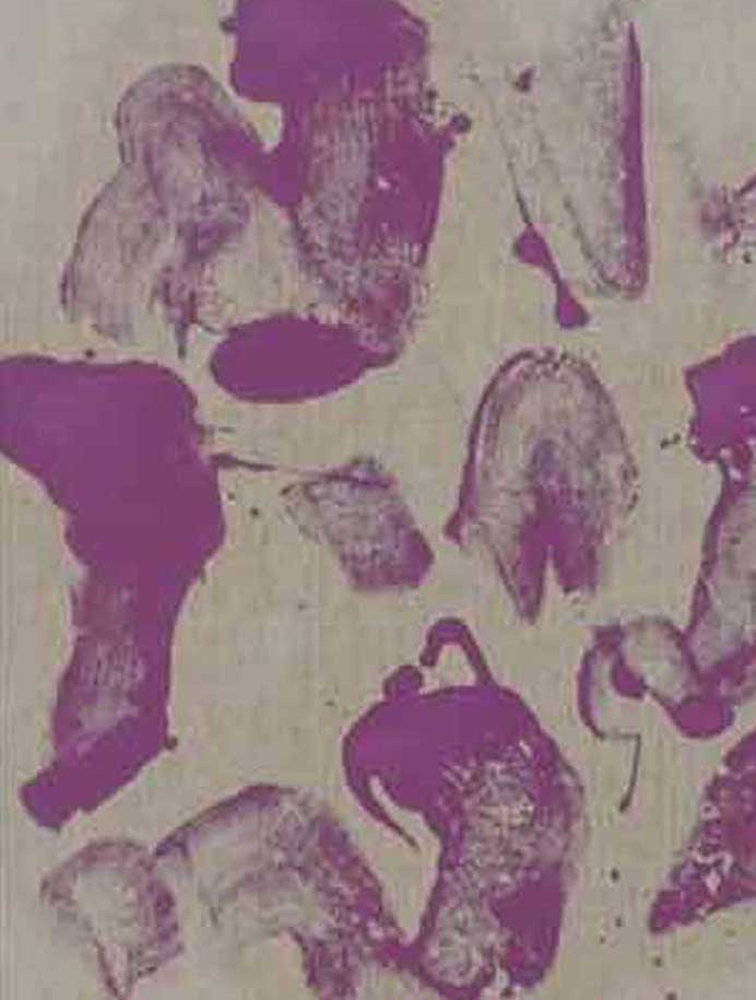 Ma Kelu  马可鲁 - 啊打钴紫 N°.13  -  Oil on canvas  -  2017 