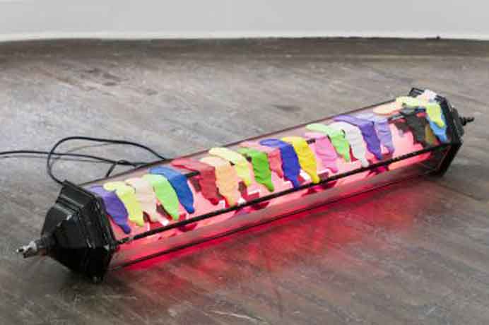 Ning Zuohong  宁佐弘  -  Do Not Move… One Month  -  installation  -  2016   