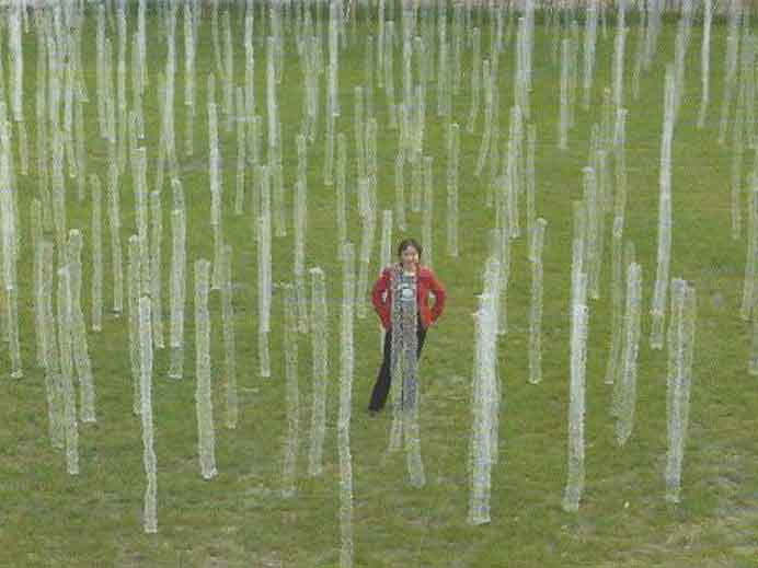 Shi Jindian  师进滇 -  White Woods  -  Stainless steel wire  -  2004  