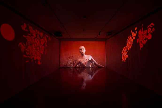 Shu Lea Cheang I.K.U. Virus Rising - Installation - Musée des Arts Asiatiques  Nice