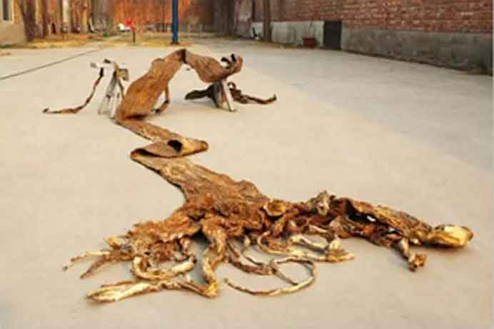 Yang Guang 杨光 - Exuviations - Mixed media - unfixed dimension - 2013 Yang Guang 杨光- Exuviations - Mixed media - unfixed dimension - 2013