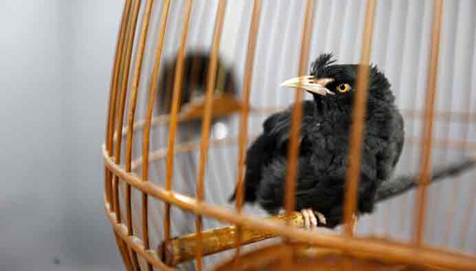 Chu Chun Teng  朱骏腾  -  My Name is Little Black  我叫小黑  -  Association of the Visual Arts  Taipei  -  2012