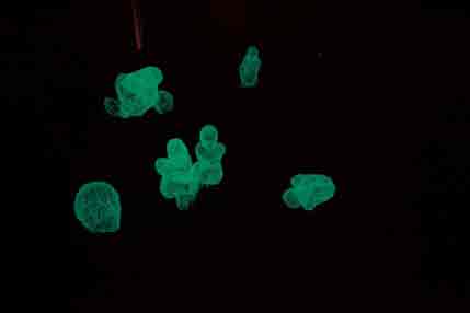 Fu Xiaojie 付晓洁 - Untitled - photography 40 x 62 cm - 2015 Fu Xiaojie 付晓洁 - Untitled - photography 40 x 62 cm - 2015