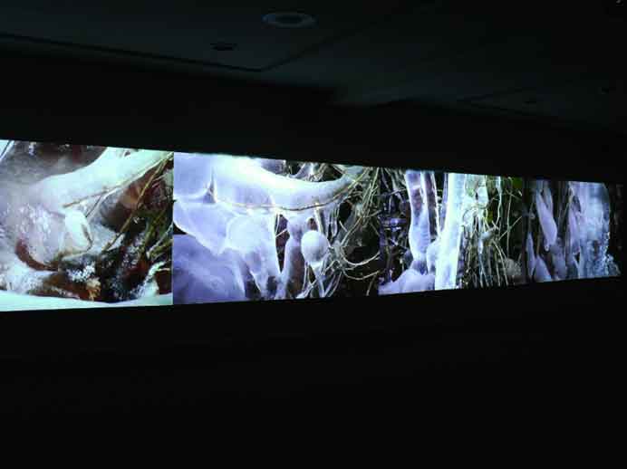 Ho Hsin-Yi  何欣怡  -  A sorrowful exercise  -  Video Art  -  2008