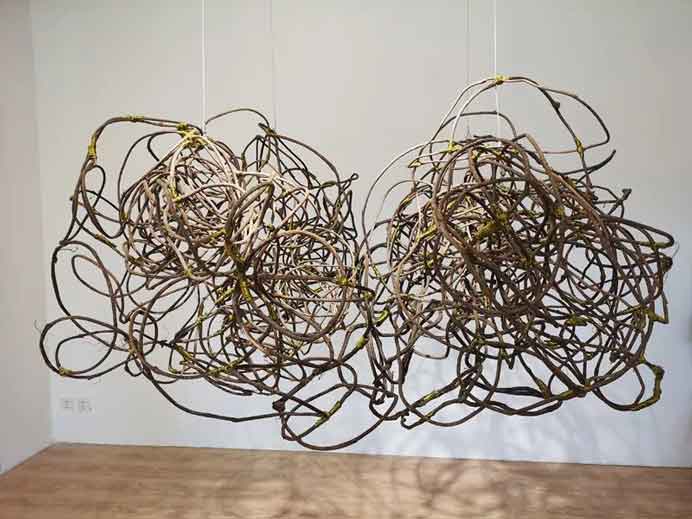 Li Ying  李赢  -  Vine  -  藤  rotin  -  2019