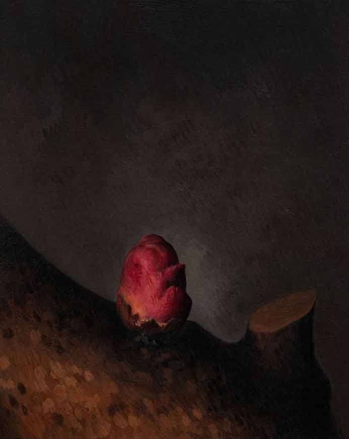 Yan Bing  闫冰  -  Apricot Flower N°.5  -  Huile sur toile  100 x 80 cm  -  2019 