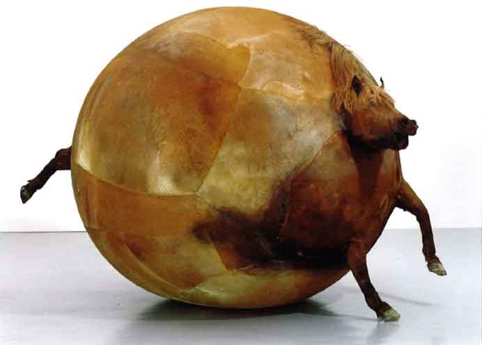 Yang Maoyuan 杨茂源 - 作品 - Horse skin dyed and inflated Yang Maoyuan 杨茂源 - 作品 - Horse skin dyed and inflated