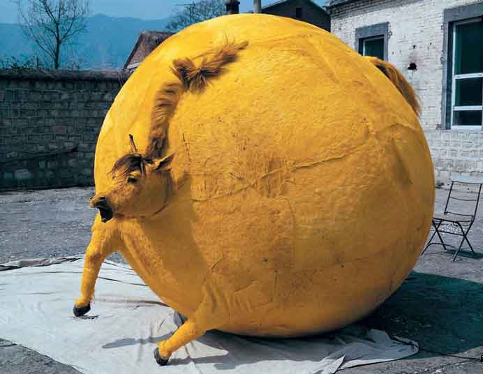 Yang Maoyuan 杨茂源 - 作品 - Horse skin dyed and inflated Yang Maoyuan 杨茂源 - 作品 - Horse skin dyed and inflated