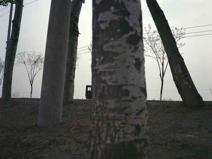 Wen Zhu  聞竹 - sight