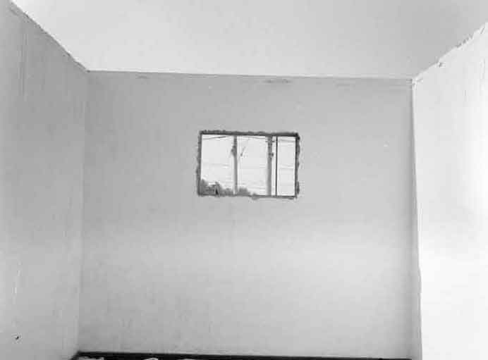 Wen Zhu  聞竹 - The white saying