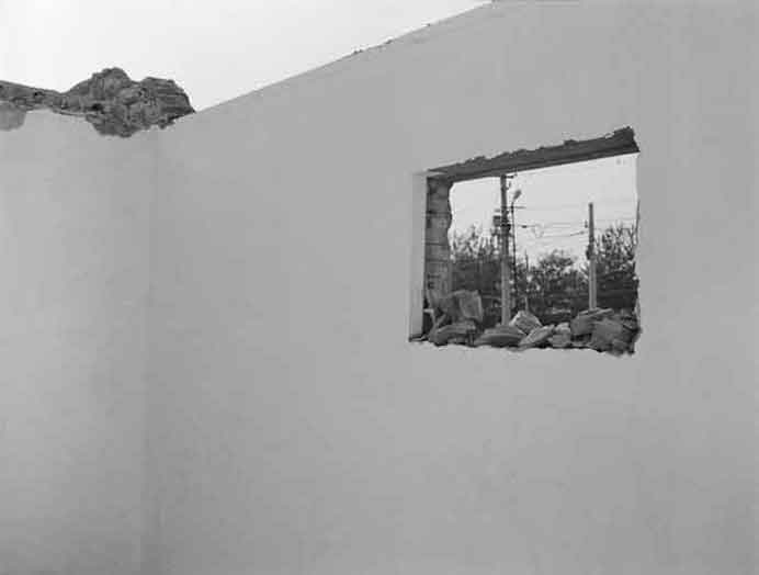 Wen Zhu  聞竹 - The white saying