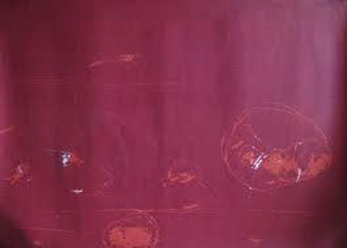 Tan Ping  谭平  Tan Ping  谭平