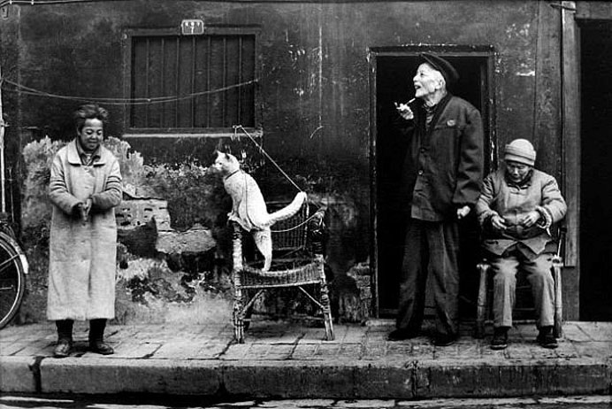 Wu Jialin  吴家林