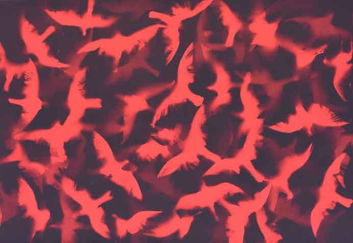 Zhang Dali 张大力 - Dove (41) - Red cyanotype on cotton 160 x 230 cm - 2021 Zhang Dali 张大力 - Dove (41) - Red cyanotype on cotton 160 x 230 cm - 2021