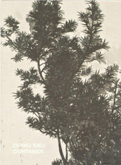 Zhang Enli - Container Zhang Enli - Container