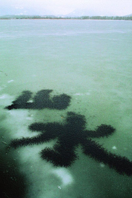  Dai Guangyu  戴光郁