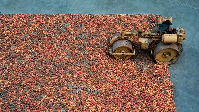 Gu Dexin 顾德新 Gu Dexin 顾德新