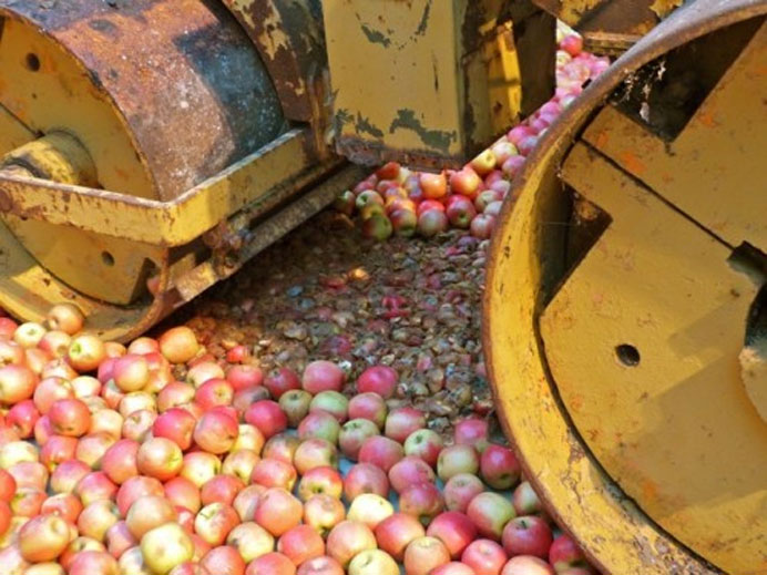 Gu Dexin 顾德新 alt=