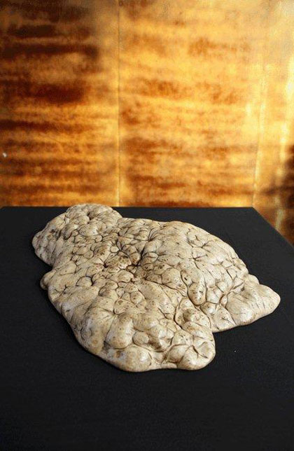 Ren Zhitian  任芷田