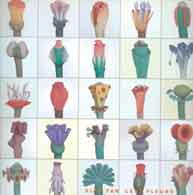 © Ru Xiaofan 茹小凡 - Cent fleurs catalogue exposition 2001 © Ru Xiaofan 茹小凡 - Cent fleurs catalogue exposition 2001