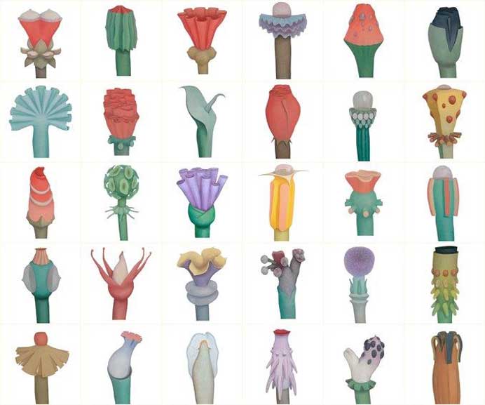 © Ru Xiaofan 茹小凡 © Ru Xiaofan 茹小凡