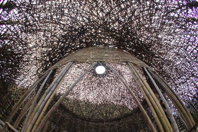 Wang Wen-Chih  王文志