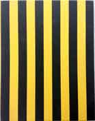 Yang Zhenzhong  杨振中 - Trespassing 2013-Yang Zhenzhong Works 1994-2012