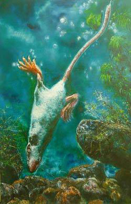  Zhang Xiaotao 张小涛