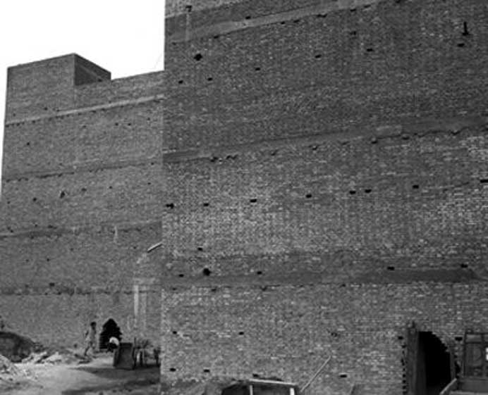 Luo Yongjin  罗永进