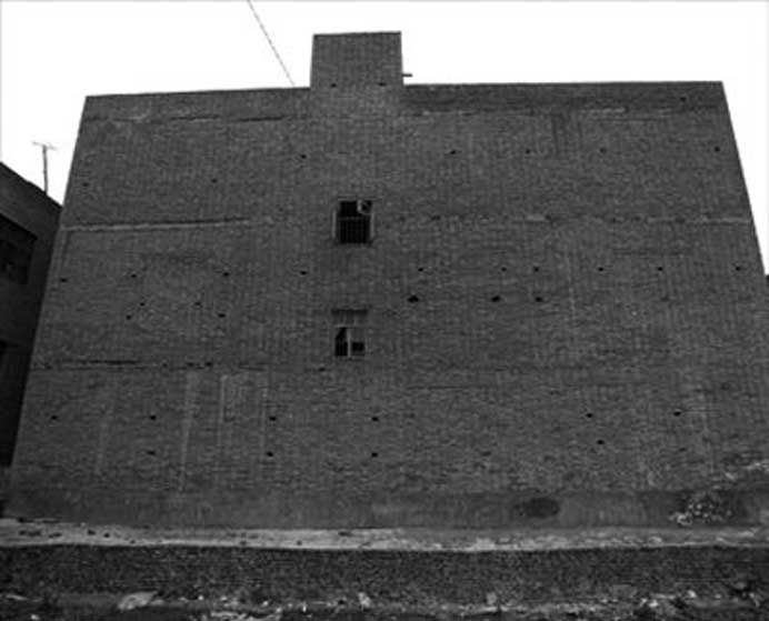 Luo Yongjin  罗永进