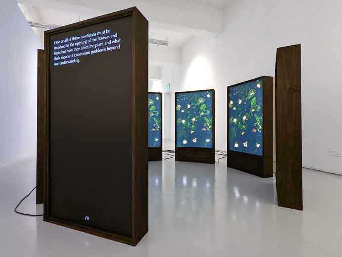  Robert Zhao Renhui  赵仁辉  -  Pink Star New Colonisation  -  Installation 154.6 x 320 x 320cm  -  2022 ShanghART Gallery  Singapore  