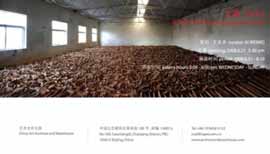 MAO TONGQIANG TOOLS
21.06 10.08 2008 Art Archives & Warehouse Beijing MAO TONGQIANG TOOLS 21.06 10.08 2008 Art Archives & Warehouse Beijing