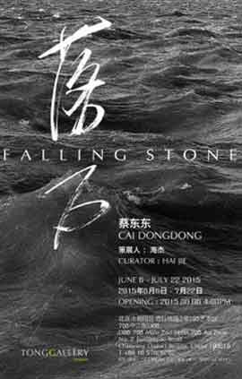  Cai Dongdong -  FALLING STONE 2015