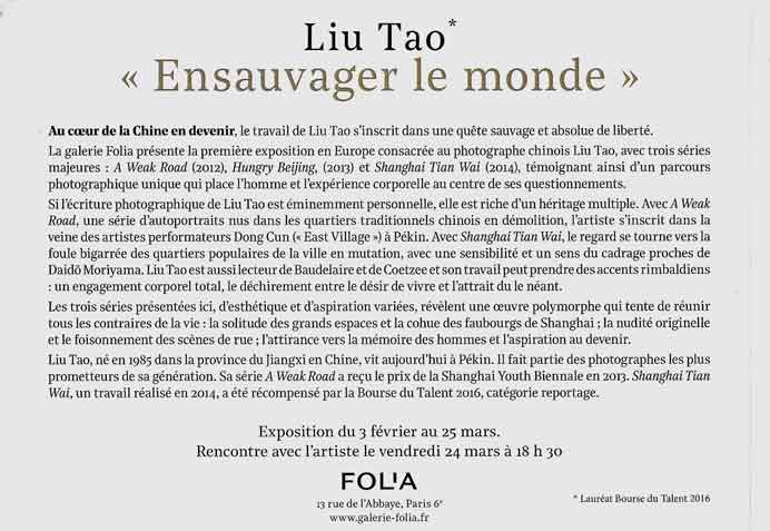 Liu Tao 刘涛 - verso du leaflet d'invitation Galerie Folia  Paris