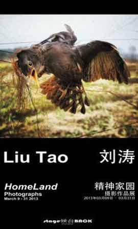  Liu Tao  刘涛  Homeland  精神家园  09.03 31.03 2013  Stageback Gallery  Shanghai  -  poster  - 