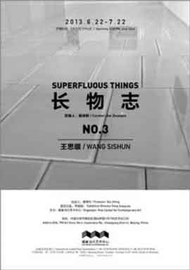  Wang Sishun SUPERFLUOUS THINGS NO.3 2013