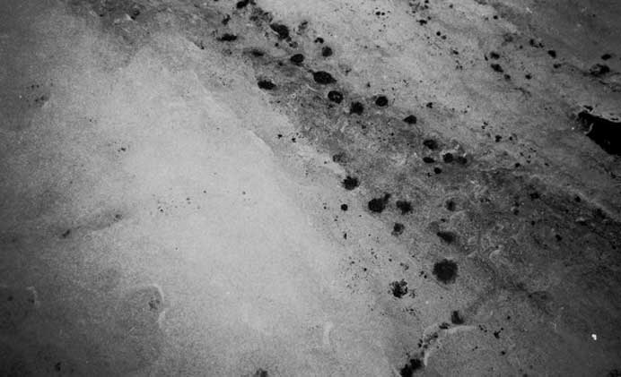 Xiaoyi Chen 陈萧伊 Xiaoyi Chen 陈萧伊