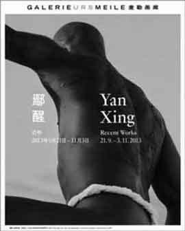  Yan Xing 鄢醒 -  Recent Works 2013