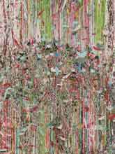 Xue Feng 薛峰 - Extension 2013 Xue Feng 薛峰 - Extension 2013