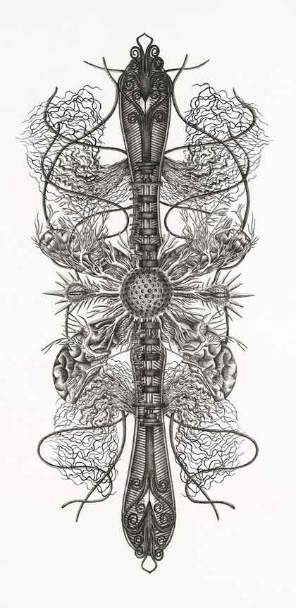 © Angela Su 徐世琪    -  Chimeric Antibodies 5 - Ink on drafting paper  -  2011  