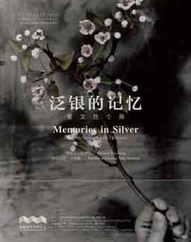泛银的记忆  Memories in Silver  -  董文胜个展  Dong Wensheng Solo Exhibition   -  30.11 15.12 2013  Hive Center For Contemporary Art  Beijing  -  poster  - 