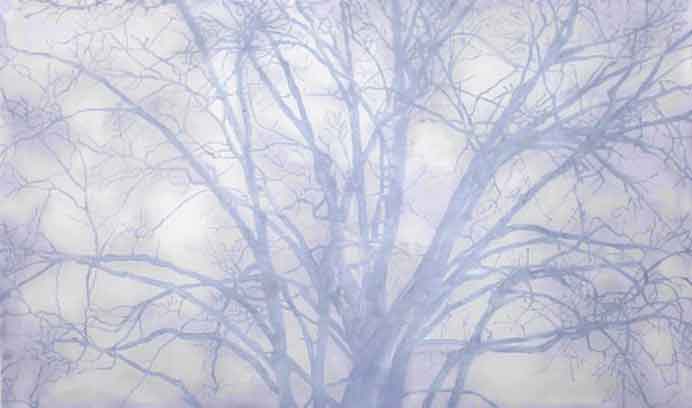 Xie Fan  谢帆 -  Grey. Tree  -  Oil Painting on Silk  2012   